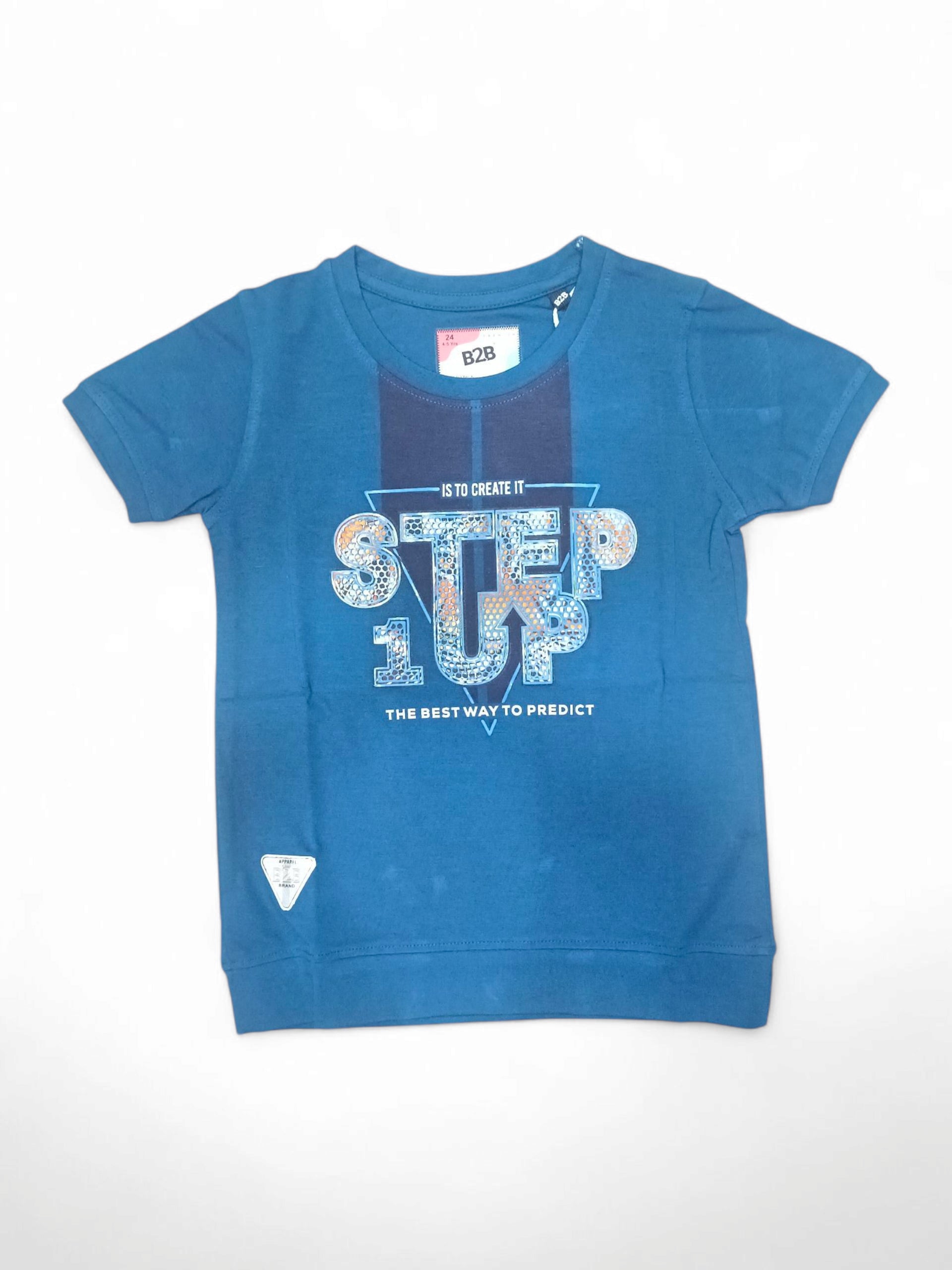 BHC TS 24-24 (4 to 5 years) BHC TS 24-24 (4 to 5 years)